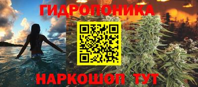 бошки Заводоуковск
