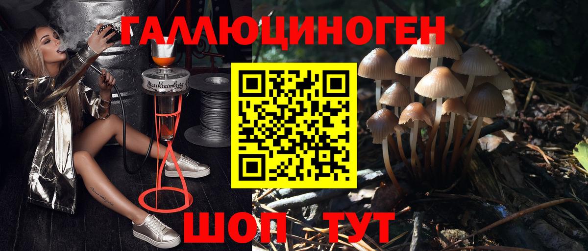 Галлюциногенные грибы Magic Shrooms Нягань