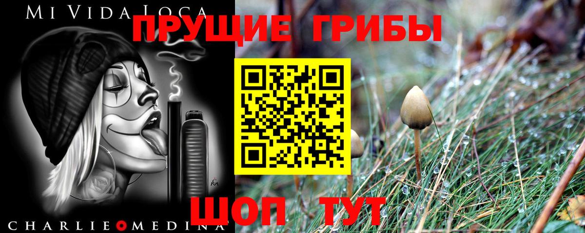 Галлюциногенные грибы Cubensis  Вход с VPN  Галлюциногенные грибы прущие грибы  Нягань 